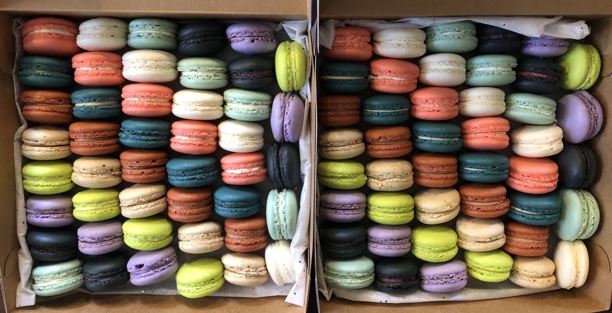 Moonflower Macarons 6